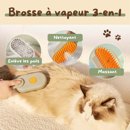 Steam Brush - La brosse innovante
