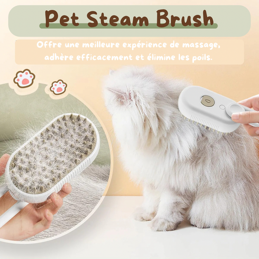 Steam Brush - La brosse innovante
